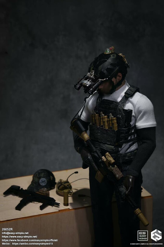 Easy & Simple Sneak Peak 26052R GBRS - General Discussion - Armed