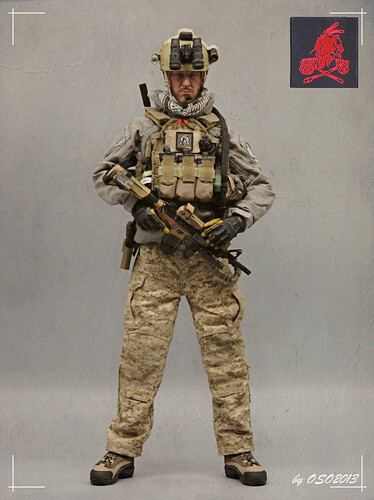 CGF TC 2001 devgru seals AOR1 海軍 New STP Maritime Assault Pack ZIP-ON Panel AOR1, SEAL NSW DEVGRU