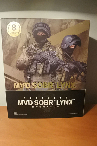 Review DAM SOBR Lynx Operator PART 1 - Reviews - Armed Figures