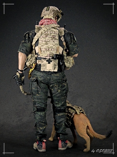 個人装備 seal team NCPC 個人装備 seal team NCPC 1/35 Built and Painted Resin U.S.
