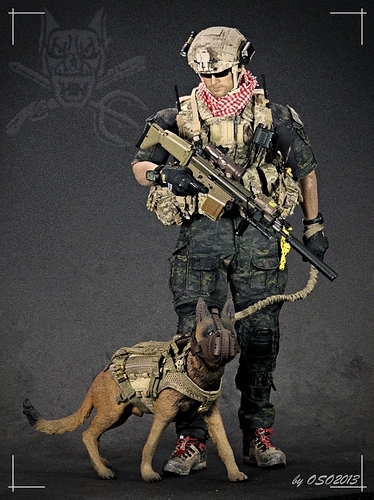 ミリタリー NAVY SEAL SVD TEAM 1 NAVY SEAL SVD TEAM 1