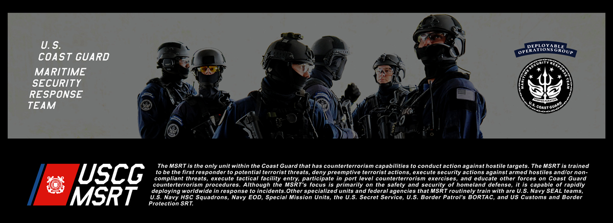 DAMTOYS US Coast Guard MSRT - Reviews - Armed Figures