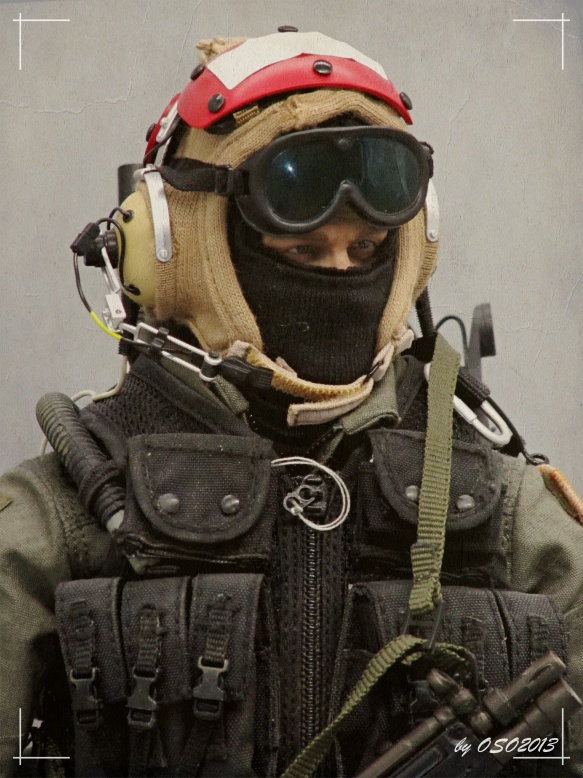 toyhaven: US Navy SEAL Team 5 VBSS Team Leader